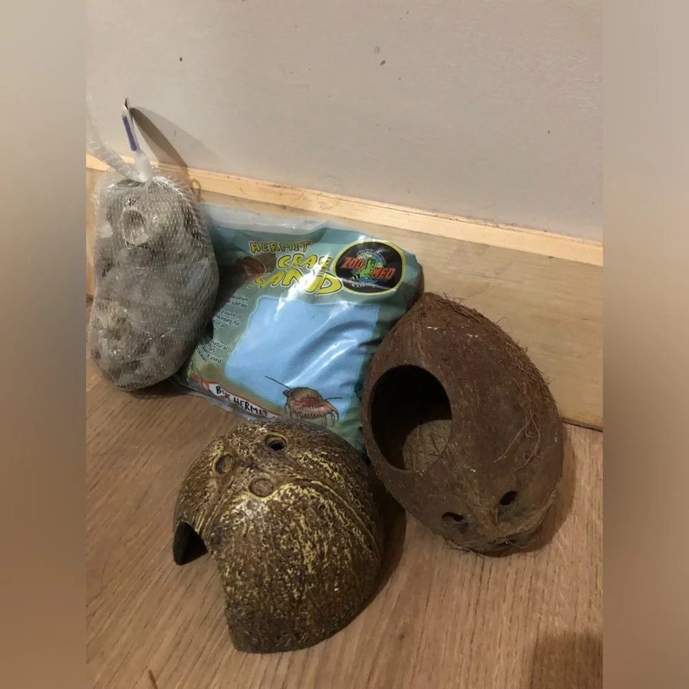 Hermit Crab Bundle - Picture 3 of 6